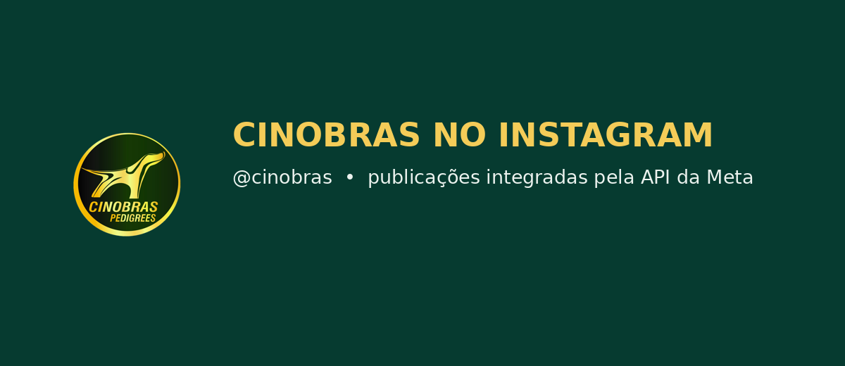 Instagram oficial da CINOBRAS — @cinobras