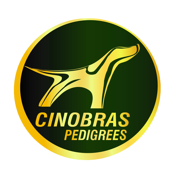 CINOBRAS